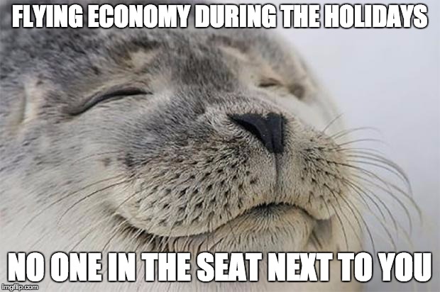 Satisfied Seal | FLYING ECONOMY DURING THE HOLIDAYS NO ONE IN THE SEAT NEXT TO YOU | image tagged in memes,satisfied seal,AdviceAnimals | made w/ Imgflip meme maker