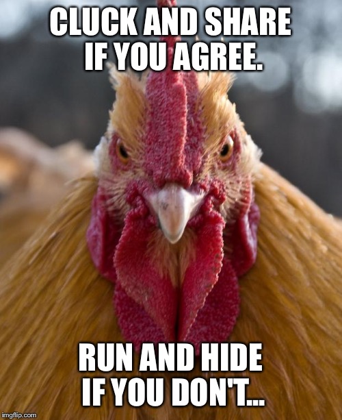 Cluck bait  | CLUCK AND SHARE IF YOU AGREE. RUN AND HIDE IF YOU DON'T... | image tagged in click,chicken | made w/ Imgflip meme maker