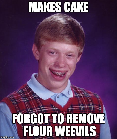 Bad Luck Brian Meme | MAKES CAKE FORGOT TO REMOVE FLOUR WEEVILS | image tagged in memes,bad luck brian | made w/ Imgflip meme maker