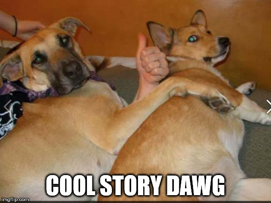 COOL STORY DAWG | made w/ Imgflip meme maker