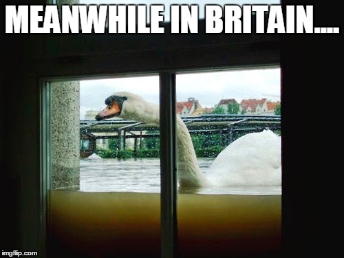 Uk is flooded, so wet right now... | MEANWHILE IN BRITAIN.... | image tagged in memes | made w/ Imgflip meme maker