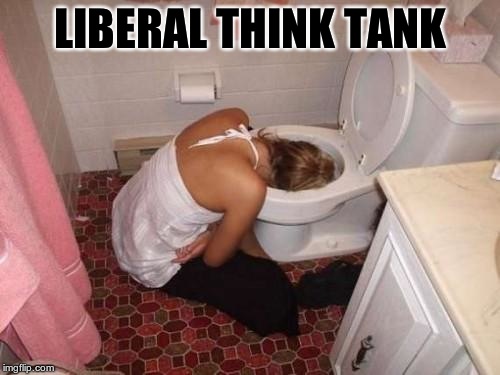 Drunk Girl Toilet | LIBERAL THINK TANK | image tagged in drunk girl toilet | made w/ Imgflip meme maker