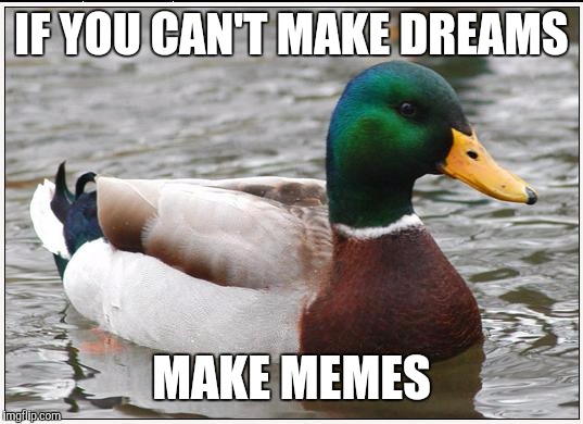 Cause this is where we go... | IF YOU CAN'T MAKE DREAMS MAKE MEMES | image tagged in memes,actual advice mallard | made w/ Imgflip meme maker