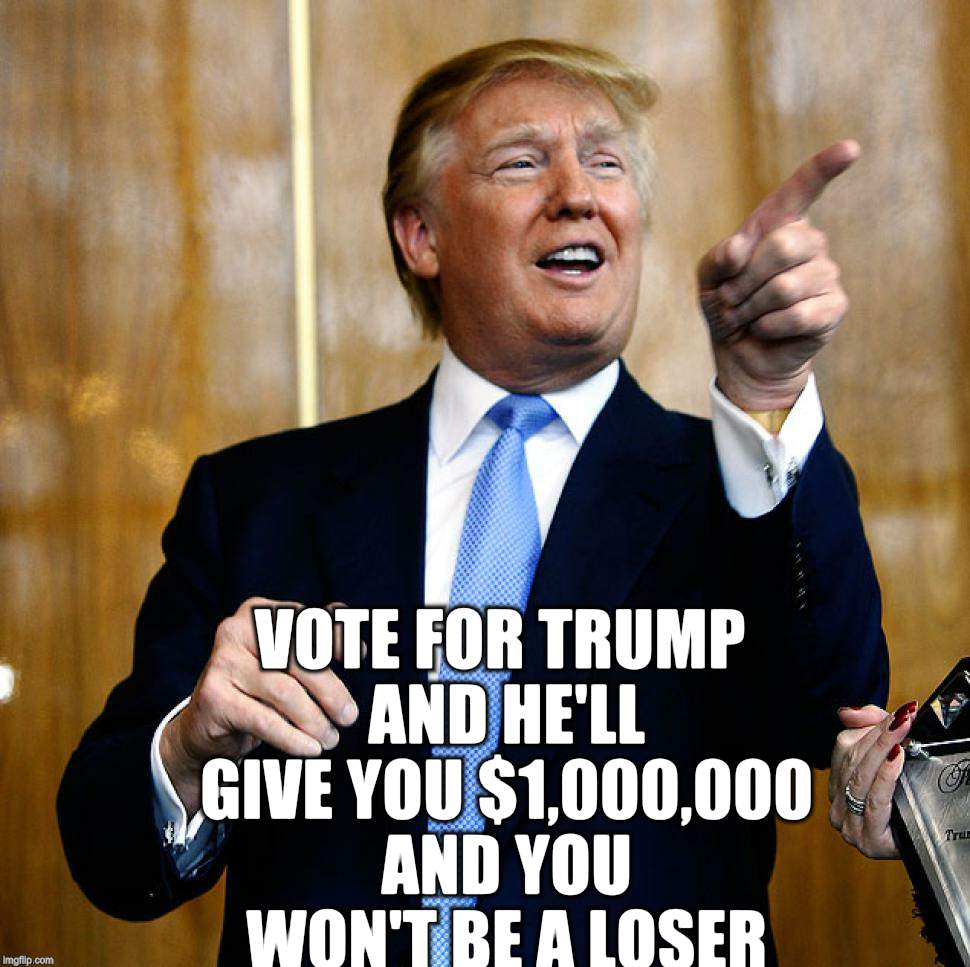 Donald Trump | VOTE FOR TRUMP AND HE'LL GIVE YOU $1,000,000 AND YOU WON'T BE A LOSER | image tagged in donald trump | made w/ Imgflip meme maker