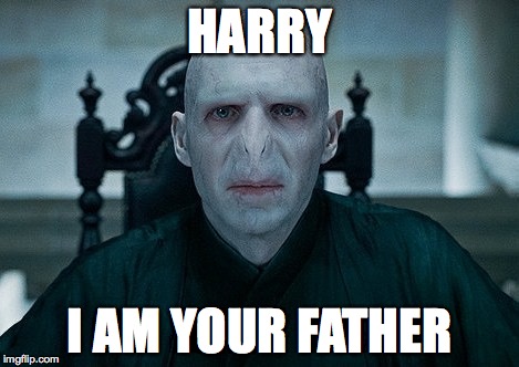 Harry Potter Memes - Voldemort is getting married.