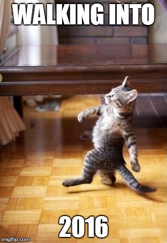Cool Cat Stroll Meme | WALKING INTO 2016 | image tagged in memes,cool cat stroll | made w/ Imgflip meme maker
