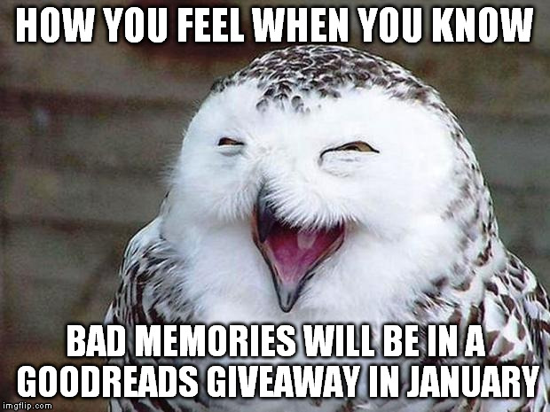 owl happy | HOW YOU FEEL WHEN YOU KNOW BAD MEMORIES WILL BE IN A GOODREADS GIVEAWAY IN JANUARY | image tagged in owl happy | made w/ Imgflip meme maker