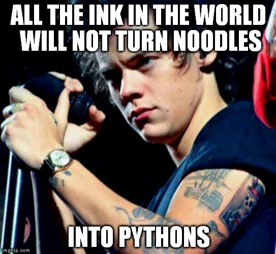 One Direction | ALL THE INK IN THE WORLD WILL NOT TURN NOODLES INTO PYTHONS | image tagged in memes,tattoos,arms,pussy | made w/ Imgflip meme maker