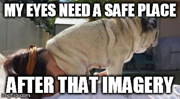 MY EYES NEED A SAFE PLACE AFTER THAT IMAGERY | made w/ Imgflip meme maker