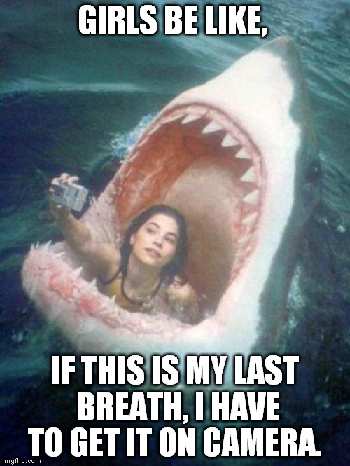 Shark | GIRLS BE LIKE, IF THIS IS MY LAST BREATH, I HAVE TO GET IT ON CAMERA. | image tagged in shark,memes | made w/ Imgflip meme maker