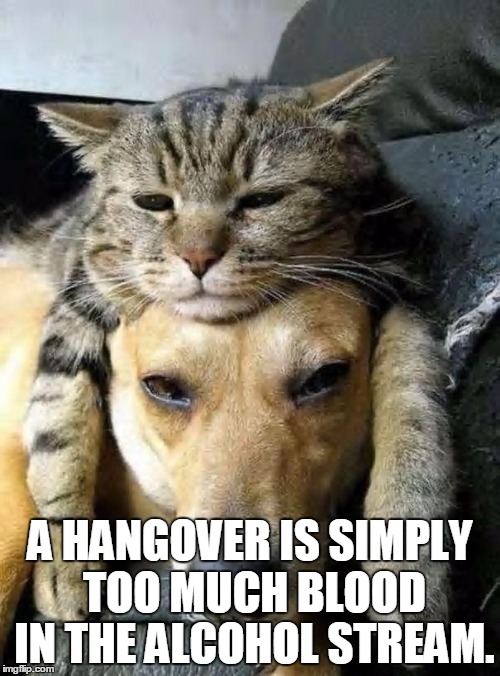 Hangover1 | A HANGOVER IS SIMPLY TOO MUCH BLOOD IN THE ALCOHOL STREAM. | image tagged in hangover1 | made w/ Imgflip meme maker