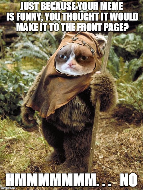 Grumpy Ewok strikes again!  (But...  here are some of my Latest stream favorites in the comments.) | JUST BECAUSE YOUR MEME IS FUNNY, YOU THOUGHT IT WOULD MAKE IT TO THE FRONT PAGE? HMMMMMMM. . .   NO | image tagged in memes,imgflip,latest stream,favorites | made w/ Imgflip meme maker