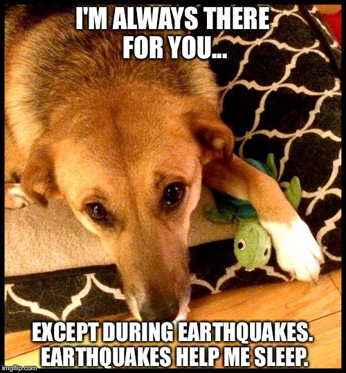 I'M ALWAYS THERE FOR YOU... EXCEPT DURING EARTHQUAKES. EARTHQUAKES HELP ME SLEEP. | image tagged in juliet | made w/ Imgflip meme maker