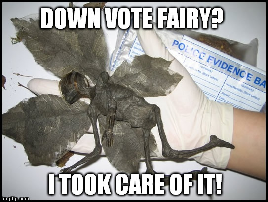 DOWN VOTE FAIRY? I TOOK CARE OF IT! | image tagged in i killed that damn down vote fairy | made w/ Imgflip meme maker