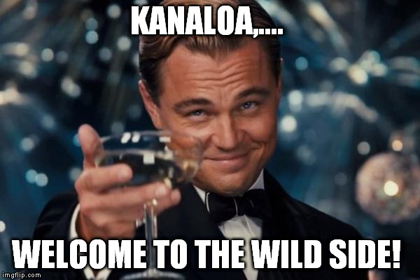 Leonardo Dicaprio Cheers Meme | KANALOA,.... WELCOME TO THE WILD SIDE! | image tagged in memes,leonardo dicaprio cheers | made w/ Imgflip meme maker