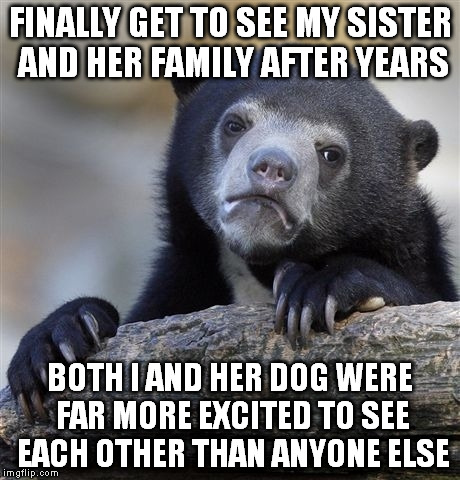 Confession Bear Meme | FINALLY GET TO SEE MY SISTER AND HER FAMILY AFTER YEARS BOTH I AND HER DOG WERE FAR MORE EXCITED TO SEE EACH OTHER THAN ANYONE ELSE | image tagged in memes,confession bear,AdviceAnimals | made w/ Imgflip meme maker