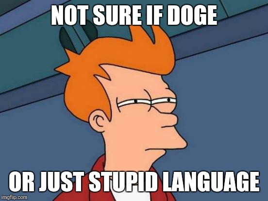 Futurama Fry Meme | NOT SURE IF DOGE OR JUST STUPID LANGUAGE | image tagged in memes,futurama fry | made w/ Imgflip meme maker