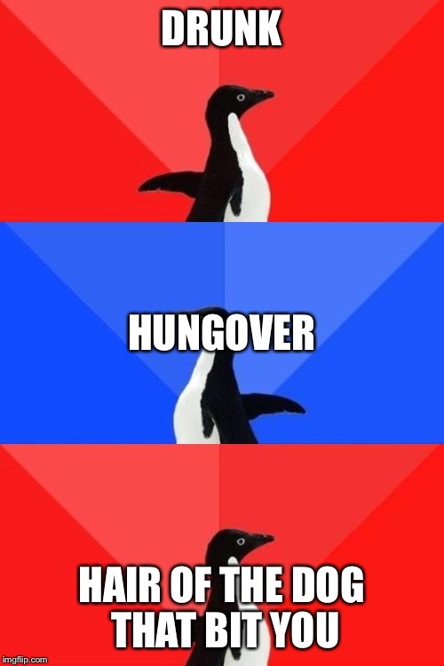 Socially Awesome Awkward Awesome Penguin | DRUNK HAIR OF THE DOG THAT BIT YOU HUNGOVER | image tagged in socially awesome awkward awesome penguin | made w/ Imgflip meme maker