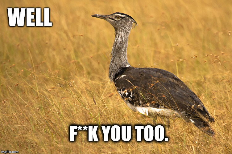 WELL F**K YOU TOO. | image tagged in bustard,insulted | made w/ Imgflip meme maker