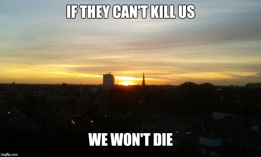 IF THEY CAN'T KILL US WE WON'T DIE | image tagged in dragonatican | made w/ Imgflip meme maker