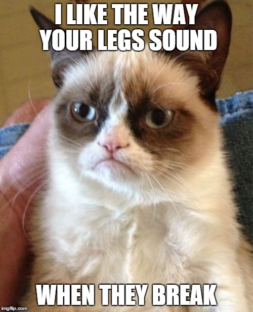 -ZeRoyalViking
2015 | I LIKE THE WAY YOUR LEGS SOUND WHEN THEY BREAK | image tagged in memes,grumpy cat | made w/ Imgflip meme maker