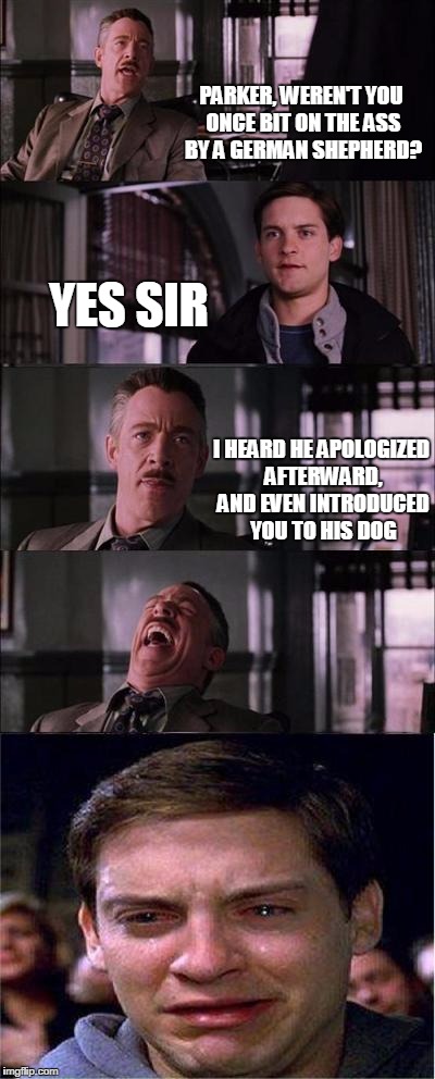 Peter Parker Cry | PARKER, WEREN'T YOU ONCE BIT ON THE ASS BY A GERMAN SHEPHERD? YES SIR I HEARD HE APOLOGIZED AFTERWARD, AND EVEN INTRODUCED YOU TO HIS DOG | image tagged in memes,peter parker cry | made w/ Imgflip meme maker