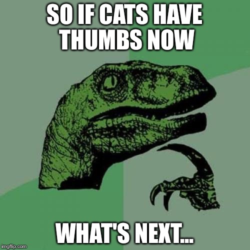 Philosoraptor | SO IF CATS HAVE THUMBS NOW WHAT'S NEXT... | image tagged in memes,philosoraptor | made w/ Imgflip meme maker