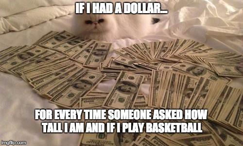 cat with cash | IF I HAD A DOLLAR... FOR EVERY TIME SOMEONE ASKED HOW TALL I AM AND IF I PLAY BASKETBALL | image tagged in cat with cash | made w/ Imgflip meme maker