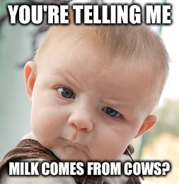 Skeptical Baby Meme | YOU'RE TELLING ME MILK COMES FROM COWS? | image tagged in memes,skeptical baby | made w/ Imgflip meme maker