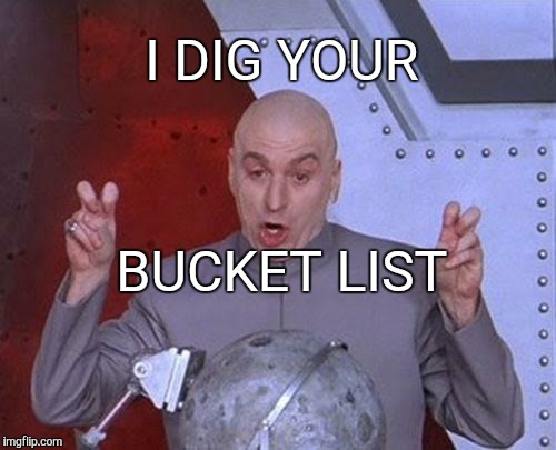 Dr Evil Laser Meme | BUCKET LIST I DIG YOUR | image tagged in memes,dr evil laser | made w/ Imgflip meme maker