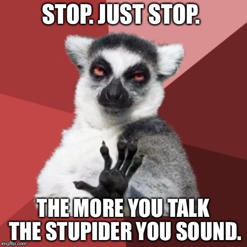 Chill Out Lemur | STOP. JUST STOP. THE MORE YOU TALK THE STUPIDER YOU SOUND. | image tagged in memes,chill out lemur | made w/ Imgflip meme maker