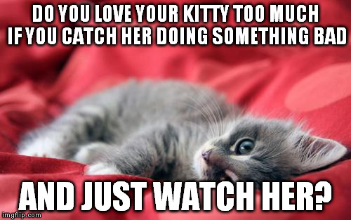 Socialist Kitty | DO YOU LOVE YOUR KITTY TOO MUCH IF YOU CATCH HER DOING SOMETHING BAD AND JUST WATCH HER? | image tagged in socialist kitty | made w/ Imgflip meme maker