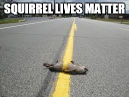SQUIRREL LIVES MATTER | made w/ Imgflip meme maker