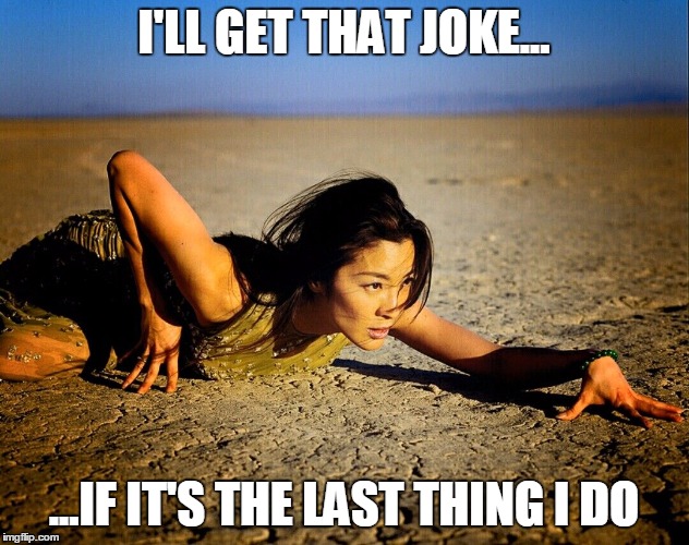 Desert | I'LL GET THAT JOKE... ...IF IT'S THE LAST THING I DO | image tagged in desert | made w/ Imgflip meme maker