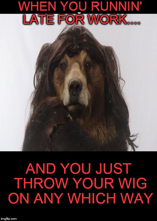 Late for work.... | WHEN YOU RUNNIN' LATE FOR WORK.... AND YOU JUST THROW YOUR WIG ON ANY WHICH WAY | image tagged in funny memes,bad hair day,hair,late,bear,memes | made w/ Imgflip meme maker