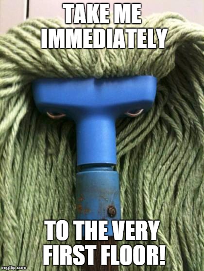 Angry Mop enters elevator | TAKE ME IMMEDIATELY TO THE VERY FIRST FLOOR! | image tagged in angry mop,elevator | made w/ Imgflip meme maker
