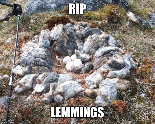 RIP LEMMINGS | image tagged in lemmy,lemmings,rip,dead,funny,gross | made w/ Imgflip meme maker