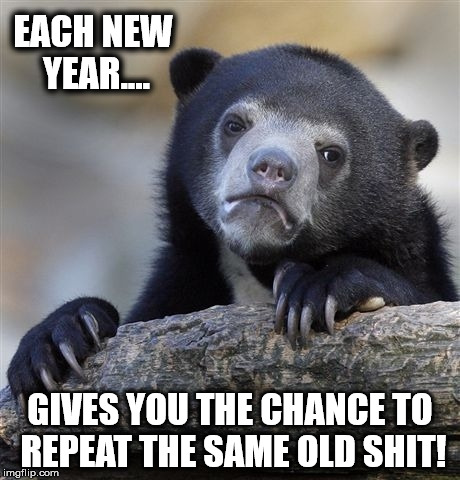 Confession Bear Meme | EACH NEW YEAR.... GIVES YOU THE CHANCE TO REPEAT THE SAME OLD SHIT! | image tagged in memes,confession bear | made w/ Imgflip meme maker