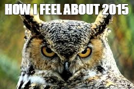 HOW I FEEL ABOUT 2015 | image tagged in 2015 | made w/ Imgflip meme maker