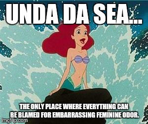 Ariel | UNDA DA SEA... THE ONLY PLACE WHERE EVERYTHING CAN BE BLAMED FOR EMBARRASSING FEMININE ODOR. | image tagged in ariel | made w/ Imgflip meme maker