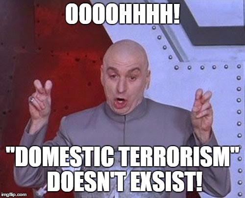 Dr Evil Laser Meme | OOOOHHHH! "DOMESTIC TERRORISM" DOESN'T EXSIST! | image tagged in memes,dr evil laser | made w/ Imgflip meme maker