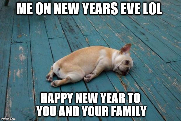 Tired dog | ME ON NEW YEARS EVE LOL HAPPY NEW YEAR TO YOU AND YOUR FAMILY | image tagged in tired dog | made w/ Imgflip meme maker