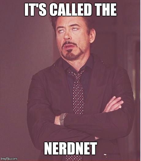 Face You Make Robert Downey Jr Meme | IT'S CALLED THE NERDNET | image tagged in memes,face you make robert downey jr | made w/ Imgflip meme maker