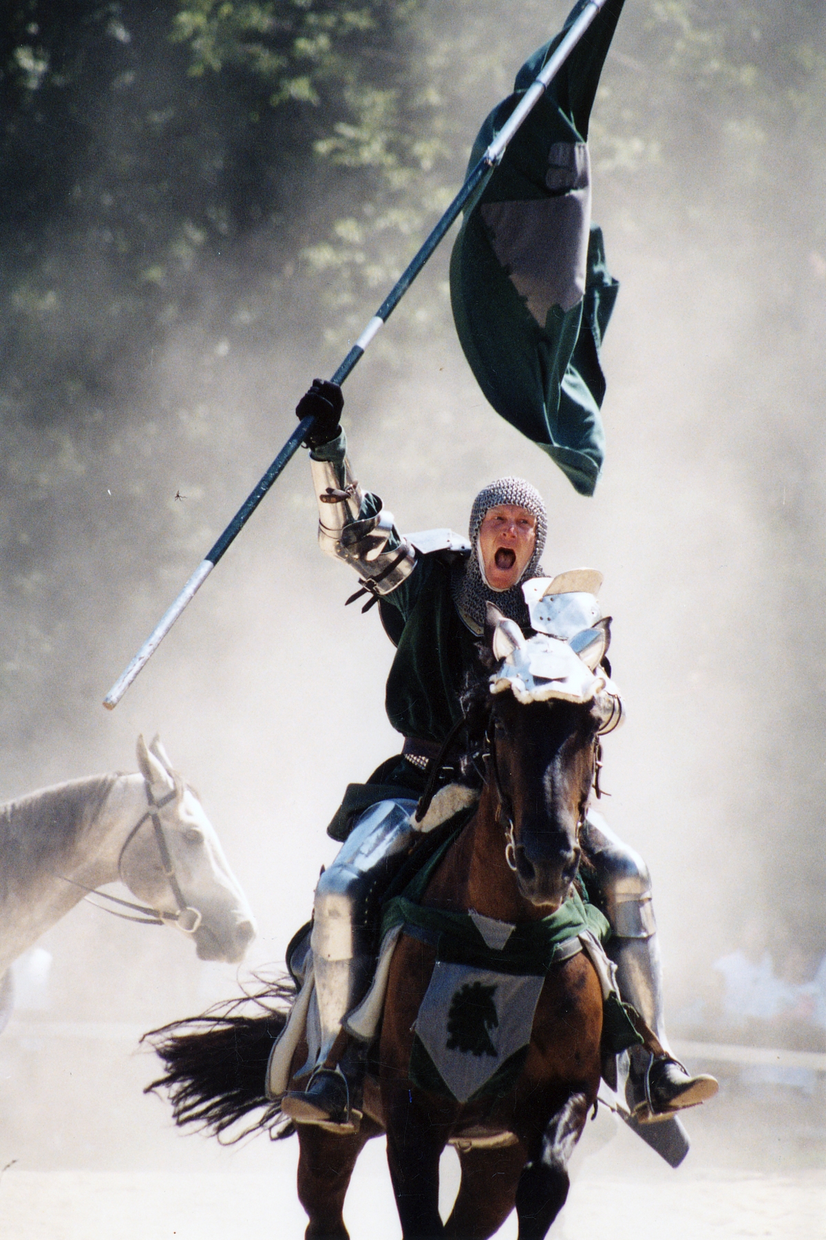 High Quality Knight on Horseback Charging with Flag Blank Meme Template