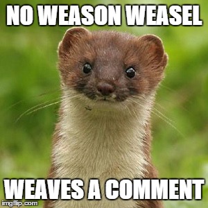 NO WEASON WEASEL WEAVES A COMMENT | made w/ Imgflip meme maker