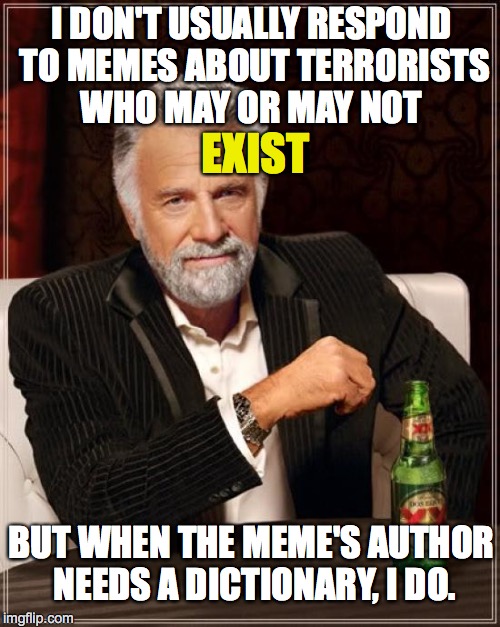 The Most Interesting Man In The World Meme | I DON'T USUALLY RESPOND TO MEMES ABOUT TERRORISTS WHO MAY OR MAY NOT BUT WHEN THE MEME'S AUTHOR NEEDS A DICTIONARY, I DO. EXIST | image tagged in memes,the most interesting man in the world | made w/ Imgflip meme maker