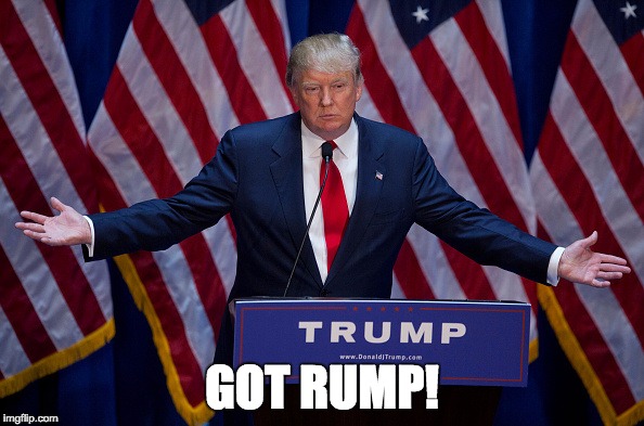 Donald Trump | GOT RUMP! | image tagged in donald trump | made w/ Imgflip meme maker