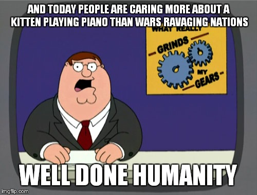 Peter Griffin News | AND TODAY PEOPLE ARE CARING MORE ABOUT A KITTEN PLAYING PIANO THAN WARS RAVAGING NATIONS WELL DONE HUMANITY | image tagged in memes,peter griffin news | made w/ Imgflip meme maker