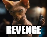 evil cat | REVENGE | image tagged in revenge | made w/ Imgflip meme maker