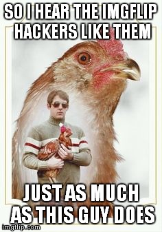 Really?!? | SO I HEAR THE IMGFLIP HACKERS LIKE THEM JUST AS MUCH AS THIS GUY DOES | image tagged in rooster,bad pun,funny,hackers | made w/ Imgflip meme maker